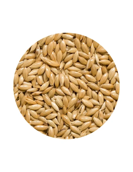 alpiste para aves PREMIFOOD JARAD 5 kg